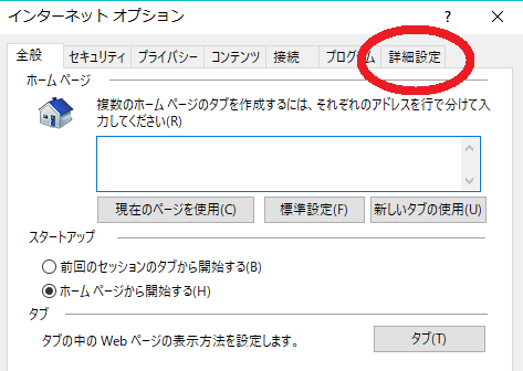 IE 詳細設定