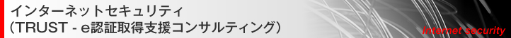 インターネットセキュリティ（TRUST-e認証取得支援コンサルティング）