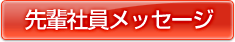 先輩社員メッセージ